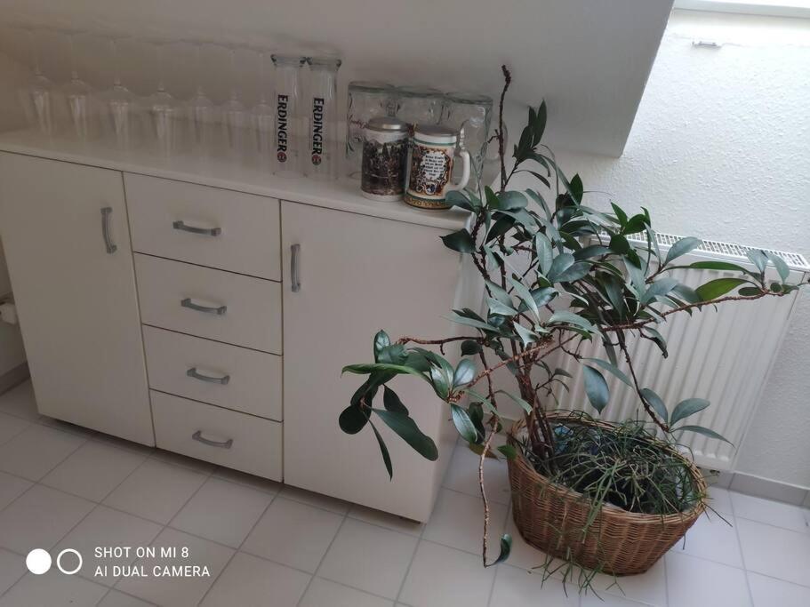 Appartement Tolle In Zentraler Lage In