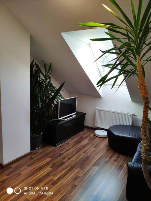 Tolle In Zentraler Lage In Apartment *