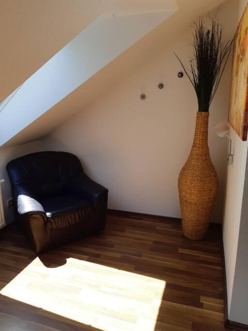 Tolle In Zentraler Lage In Apartment