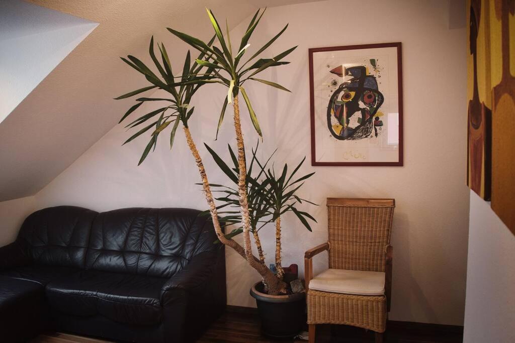 Apartment Tolle In Zentraler Lage In *