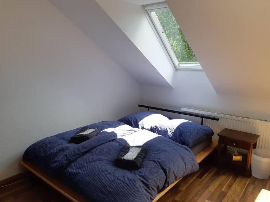 Appartement Tolle In Zentraler Lage In *